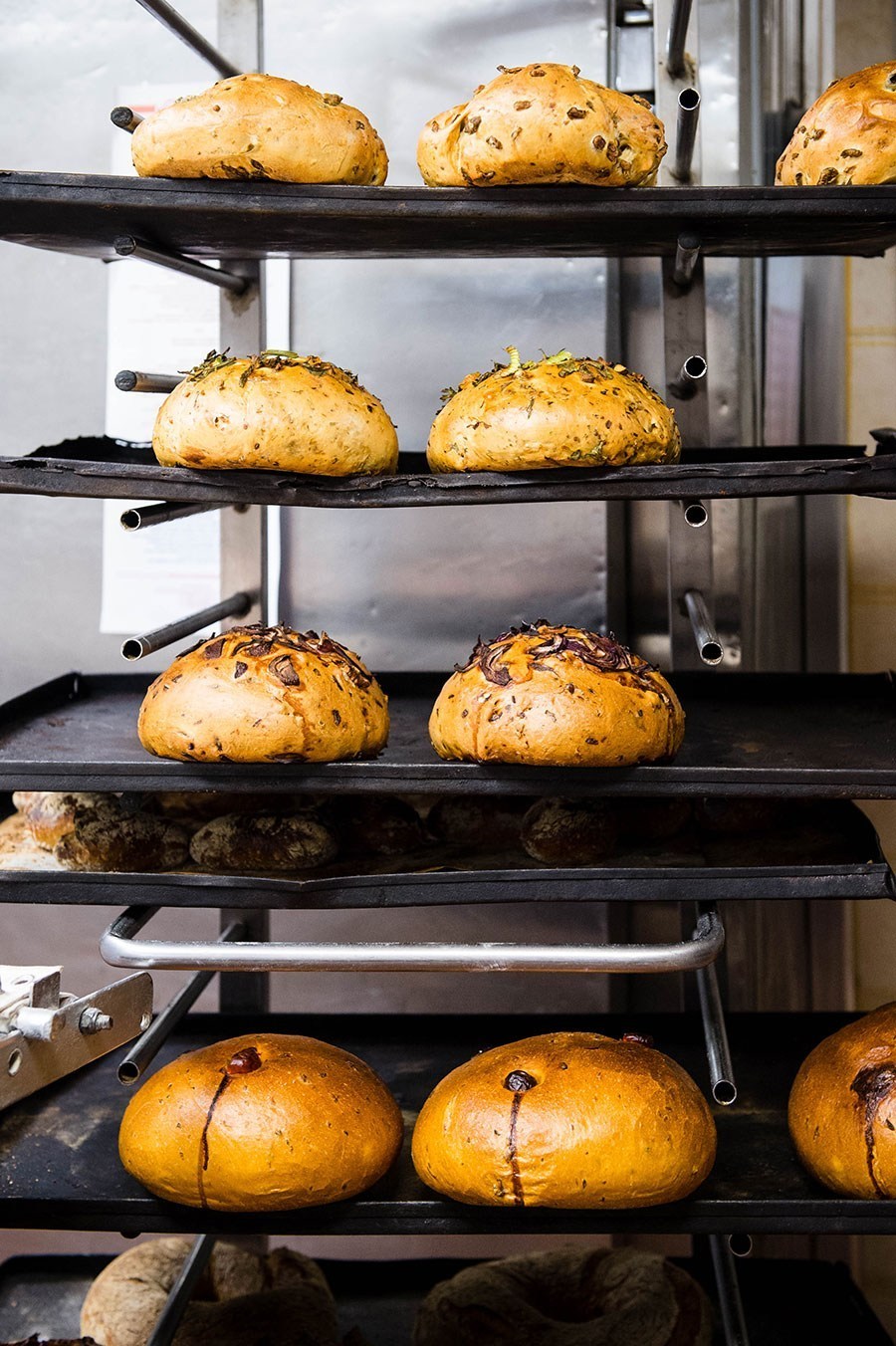 panella-il-pane-a-roma-panellaroma